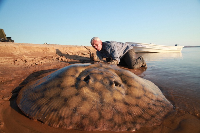 Jeremy with big Stingray catch. Parana River bank, Argentina.