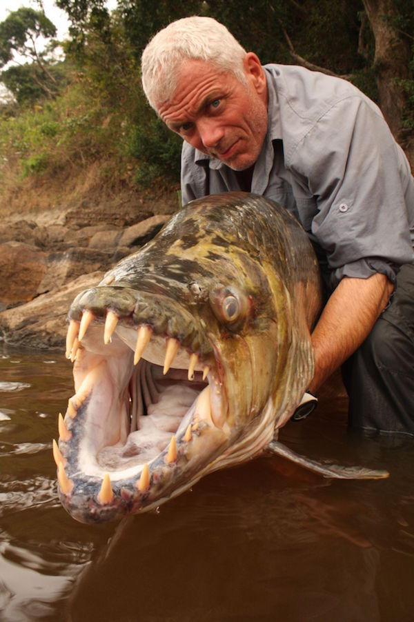 Jeremy Wade with a Congo Tigerfish.