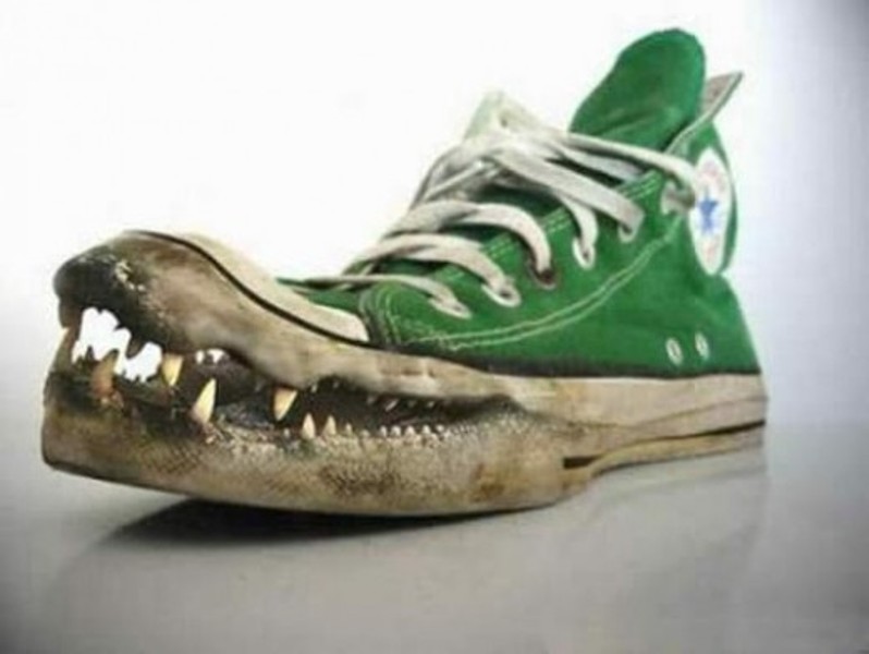 Alligator-Sneaker