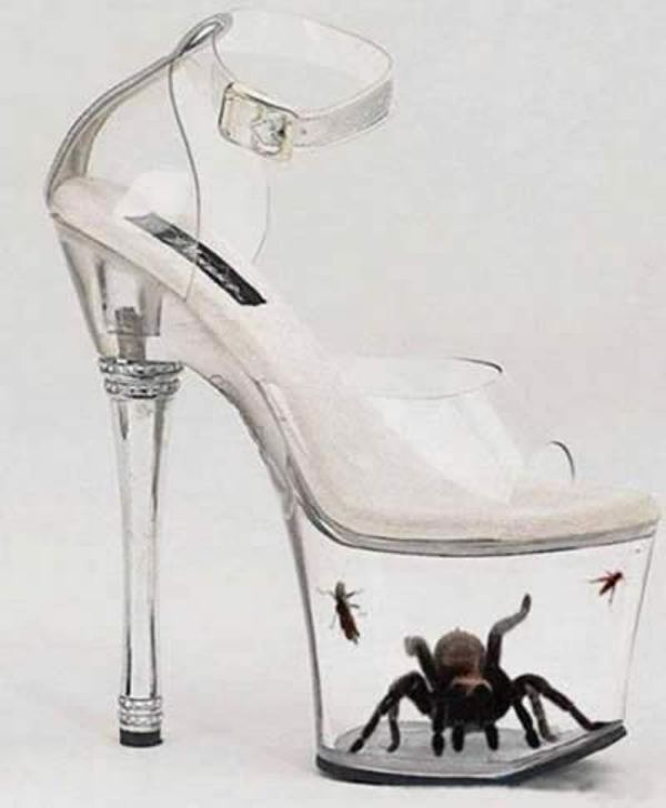 insect-shoe
