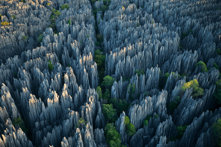 غابة-الأحجار-في-الصين