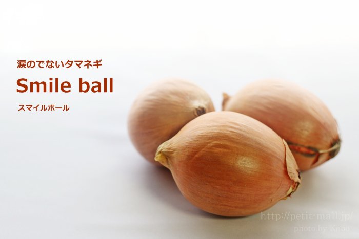 Onions-3107161